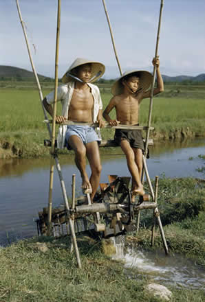 Two men operate a pump to irrigate a rice field